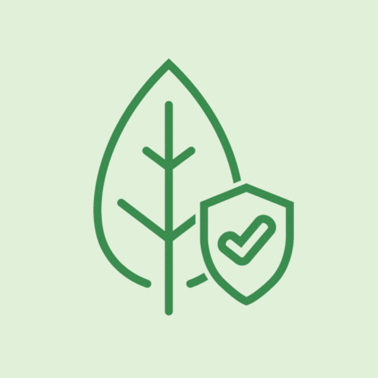 frame 1618872895 9 7jwlt889 Toxic-Free Living